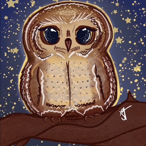 Nursery Owl Art Print-Harry Potter inspired-4”x6” - Picture 2 of 3